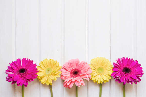 Jual Poster Gerberas Wood planks WPS 002